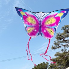 대형 나비연 가오리연 연날리기세트 옛날 전통 전래놀이 캠핑놀거리