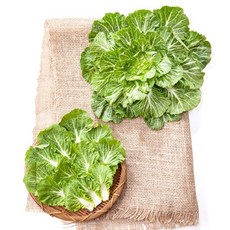 국내산 봄동 1kg(2-3장), 봄동 1kg, 1kg, 1개