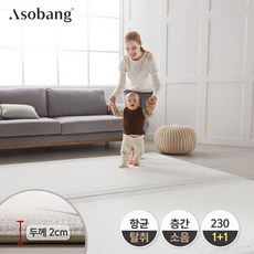 아소방1+1