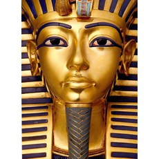 투탕카멘파라오의비밀얼리버드