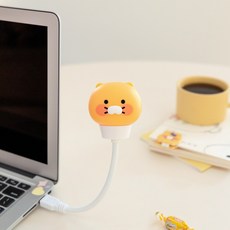 춘식이usb TOP01