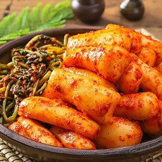 종가집총각김치5kg
 종가집 [종가집] 국산 총각김치 5kg 1개