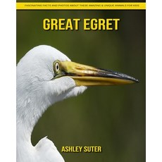 Great Egret: Fascinating Facts and Photos about These Amazing & Unique Animals for Kids Paperback, Independently Published