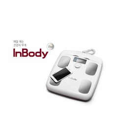 바겐슈타이거인바디