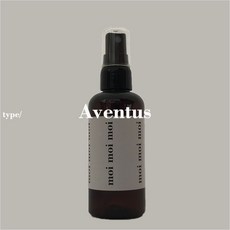 모이 룸 향수스프레이 어벤투스타입 방향제, 100ml, 100ml, 1개