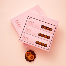 감카롱 산청곶감 [840g내외/21개], 단품없음