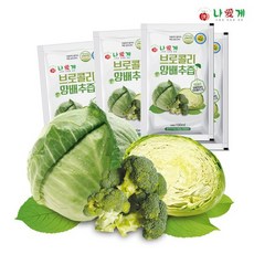 양배추쿨링팩