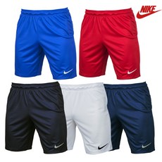 나이키5부수영복