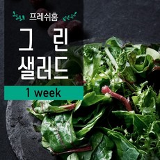[프레쉬홈] 그린 샐러드 1주 100g x 4팩 (유러피안), 상세 설명 참조