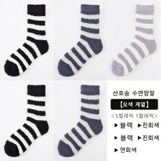 라코스테정장양말