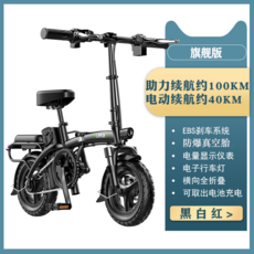 전기자전거 전기 MTB 충전 e바이크 접이식 배달용 111, Ultimate Edition 100km 지원, 48V