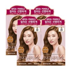 려 우아채 멋내기 새치크림 염색약, 7O오렌지브라운, 4개