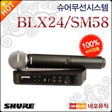 blx24