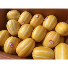 성주참외-추천-상품