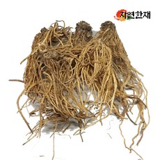 국산 엉겅퀴 뿌리 대계근 300g, 1개