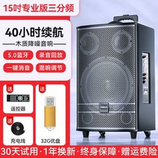야외 스피커 이동식 마이크 앰프 장비 버스킹 공연 가수 행사용 강연 오디오, 15인치 스피커+32G USB, 15인치+32G USB 디스크