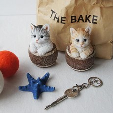 livepro2유니크함을더하는씨앤에이치