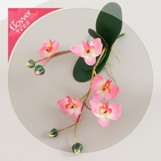 감성인테리어 예쁜 조화 모음 180종 / 플트 조화꽃 A, A16.호접난플라워가지o 30cm-핑크