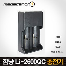 21700배터리충전기c타입
