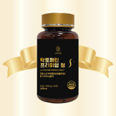 솔라가드프리미엄