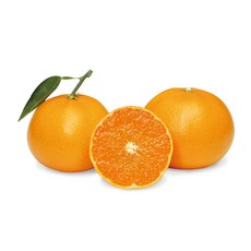 [곱들락] 제주산 고당도 천혜향/선물용 가정용먹걸이, 1박스, 5kg(16~25입내)