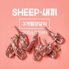 sheep새끼