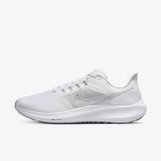 페가수스r2r