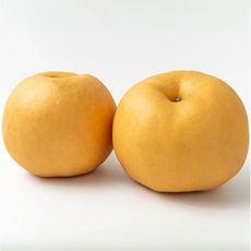 산지직송 나주배 나주 신고 배 가정용, 1개, 7.5kg(중과)