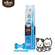 이누스바스잉글리쉬