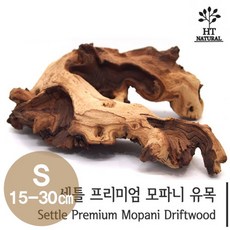 [미미네아쿠아] 세틀 모파니 투톤 유목 (15~30cm), 1개