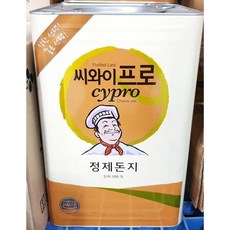 정제돈지