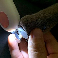 바른템 LED 고양이 손톱깎이 애견 발톱깎이 강아지 발톱깎기, 1개
