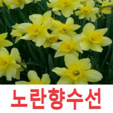 ca32a24367a070464cf0c7b19e261bb0164d529740316d32f39ae8b9e802.png