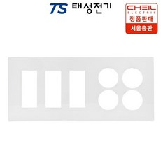 태성전기 제일전기 디노 통합수구 5개용 콘센트4구 플레이트 우타입, 1개