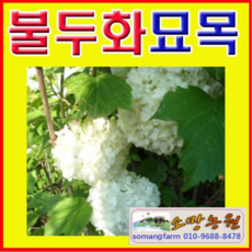 bad22d2102d8e18451dee18fb242d614ef5aa2d3611ba27fe5ffe5dede5c.jpg