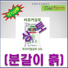 바로커상토