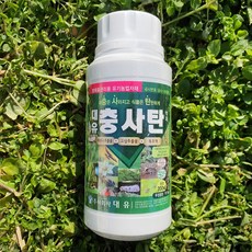 제부도포도농장체험