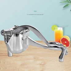 오르테슬림원액기