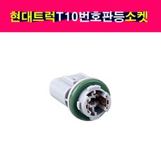 송모터스 송자동차나라 현대 트럭 번호판등 번호판램프 넘버등 넘버등램프 T10전구사용 T10전구소켓, 1개, T10전구소켓+암놈소켓