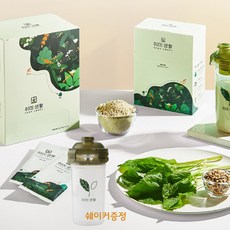 담마주우