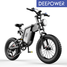 DEEPOWER 2000W 48V 35Ah 최신형 MTB 산악 자전거 전기자전거 20인치 팻바이크 7단 변속 2023 Upgraded, 블랙 + 실버