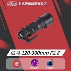 시그마120-300