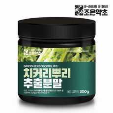 치커리 뿌리 추출물 100% 분말 가루 300g, 1개