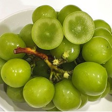 옥천농협샤인머스켓