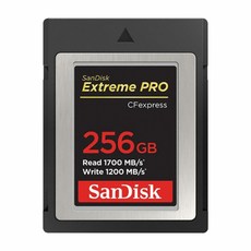 sandisk256gb익스트림프로cfexpress