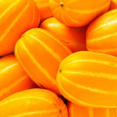 성주참외당도보장10kg