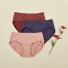 애니바디팬티
