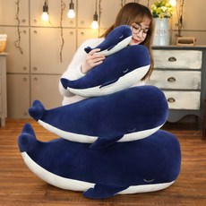 외상의치유인생의향유