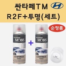 레인포레스트