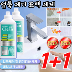 1+1 의류 복원제 얼룩 및 기름 제거 액체세제 얼룩 제거 표백 세제 활성 산소 기술/얼룩 제거 무잔류, 425ml*1+1, 2개, 425ml
